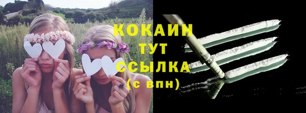 не бодяженный Бородино