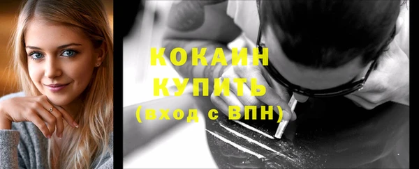 тгк Лиски