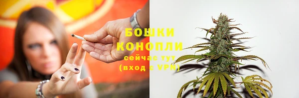 тгк Лиски