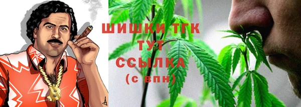 тгк Лиски